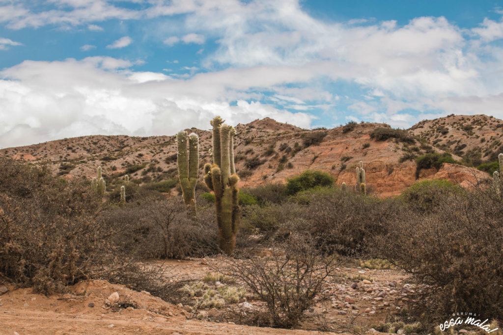 Paisagem de Humahuaca, na Argentina