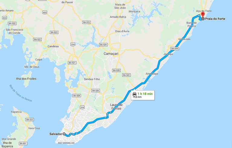 Do Projeto Tamar às piscinas naturais: o que fazer na Praia do Forte ...