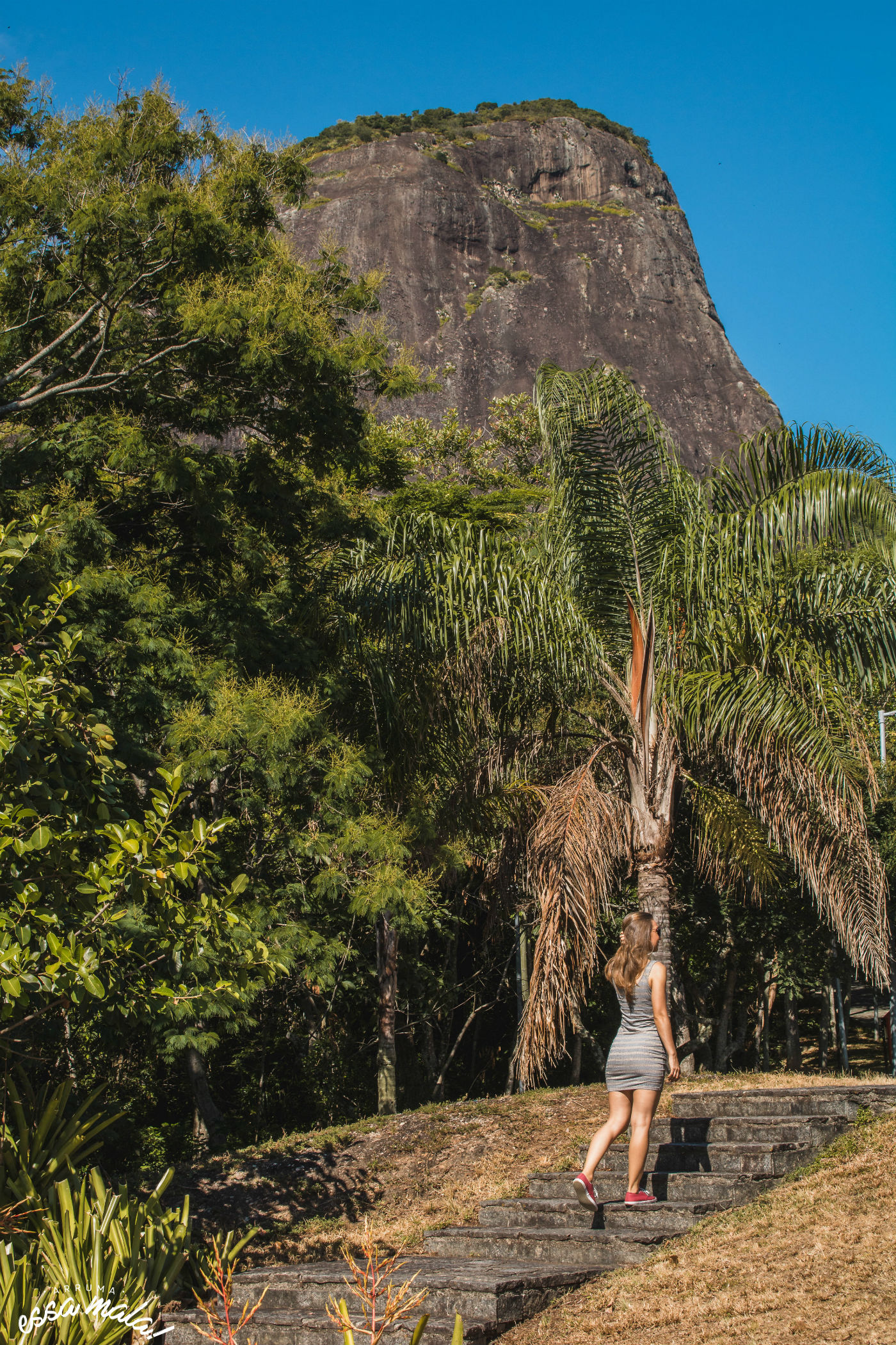 Em Um Parque Há Dois Mirantes - RETOEDU