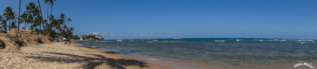 praia do forte bahia