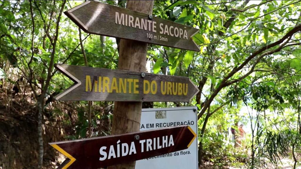 parque da catacumba trilha