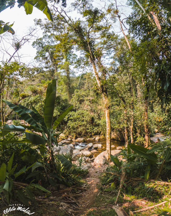 cachoeira poço do tarzan paraty