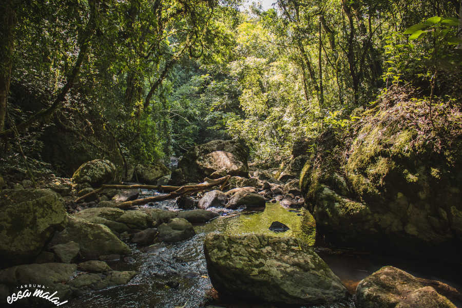 trilha cascata das andorinhas