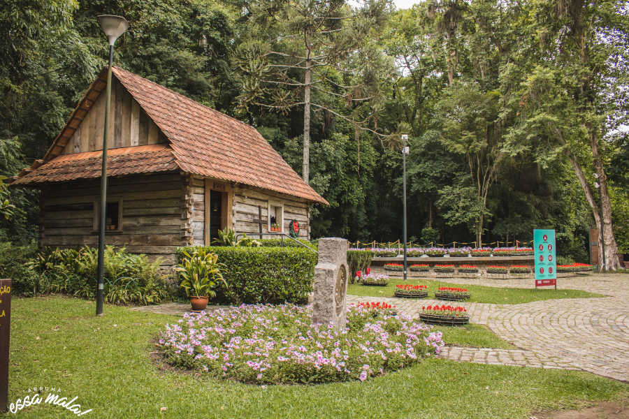 pontos turísticos de curitiba bosque do papa