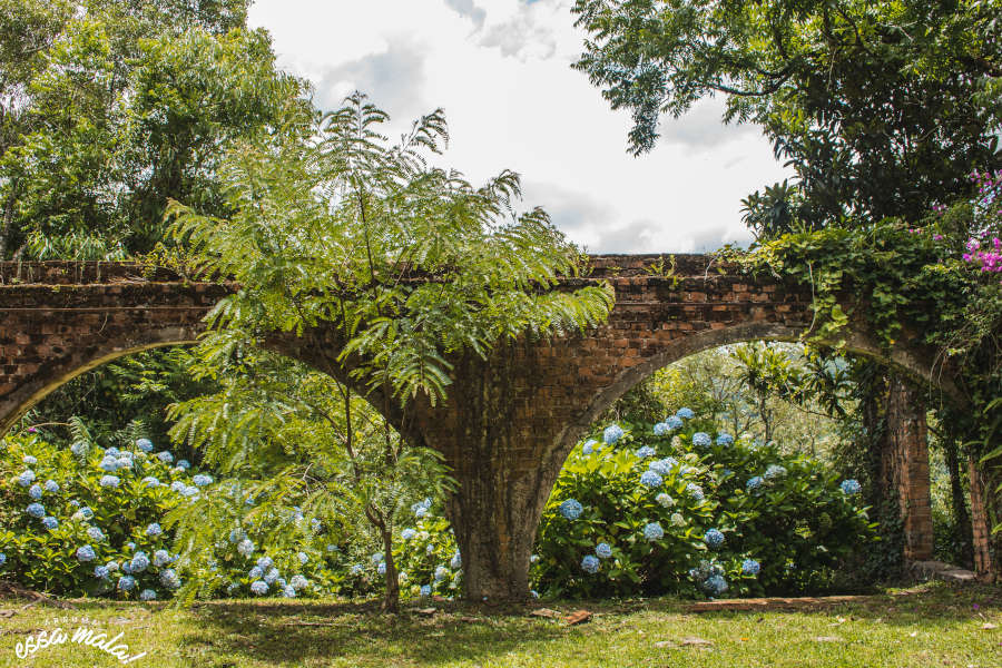 salto ventoso ruínas