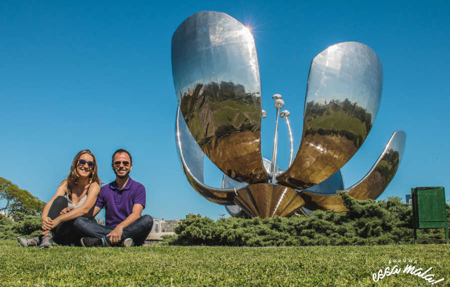 floralis generica buenos aires