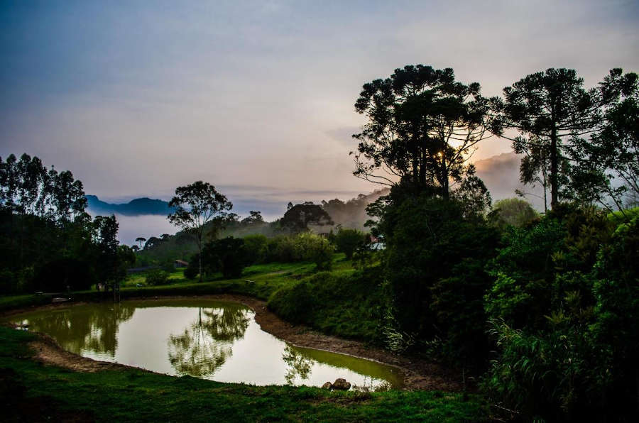 pousada caminho dos ipês